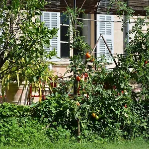 Les Passiflores Couette-café